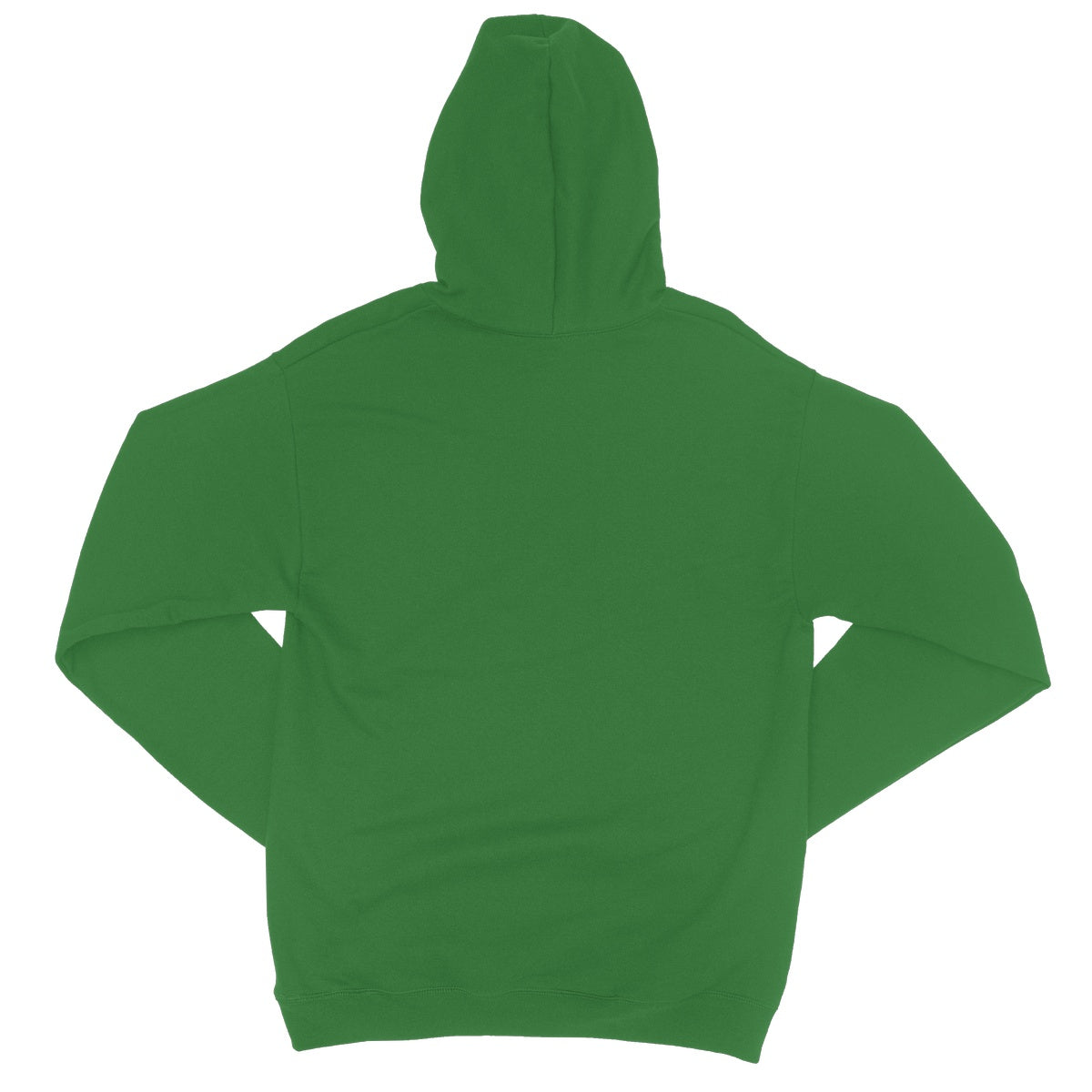 South American Iguana College Hoodie