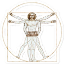 Da Vinci Vitruvian Man Concertina Sticker