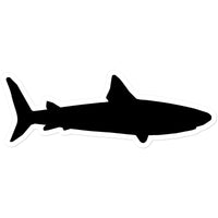 Shark Sticker