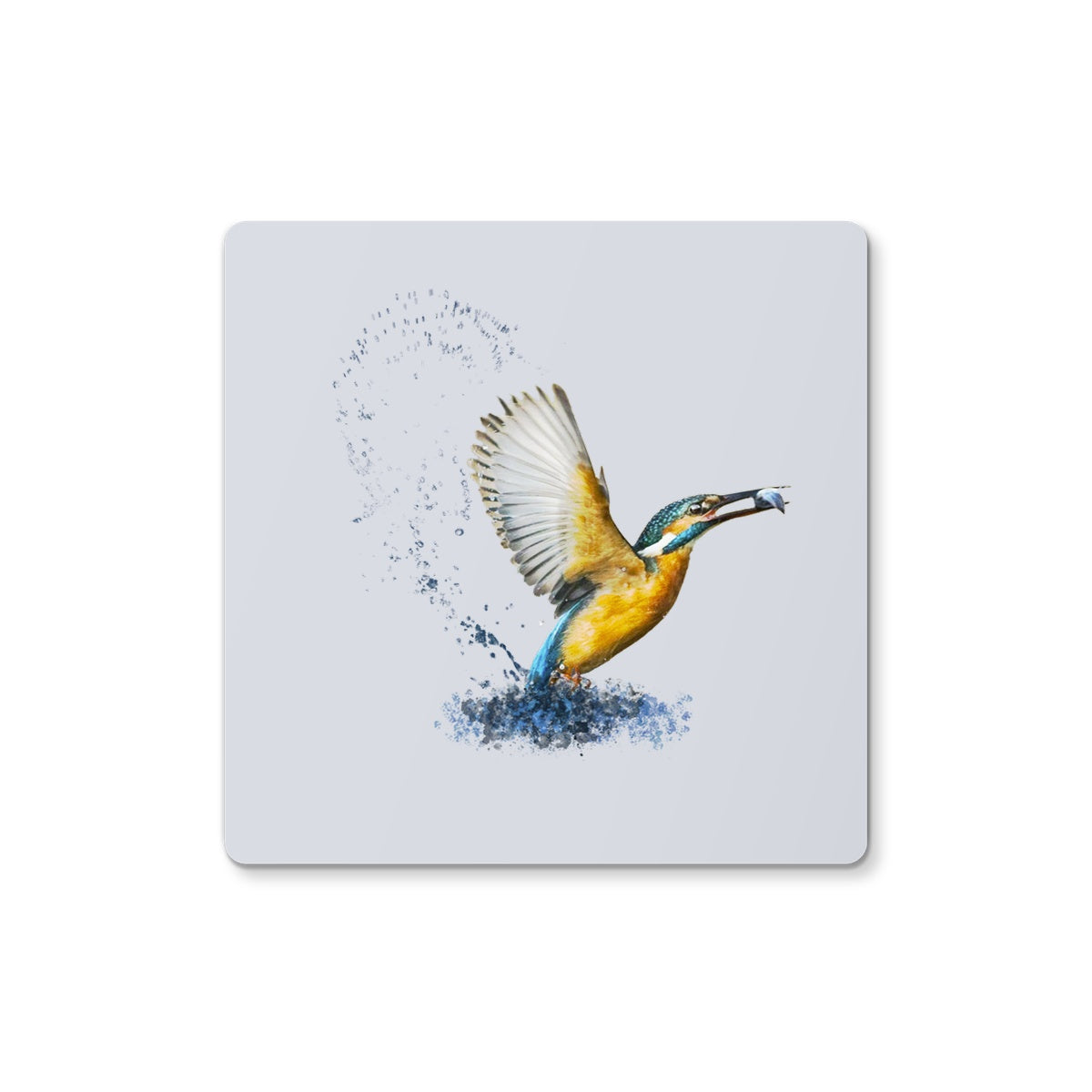 Kingfisher Coaster