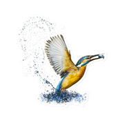 Kingfisher Sticker