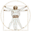 Da Vinci Vitruvian Man Concertina Sticker