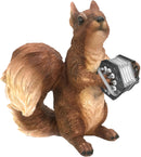 Concertina Playing Squirrel Hoodie-Hoodie-Mudchutney