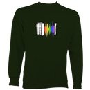 Rainbow Sound Wave Melodeon Sweatshirt