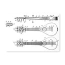 Mandolin Patent Placemat