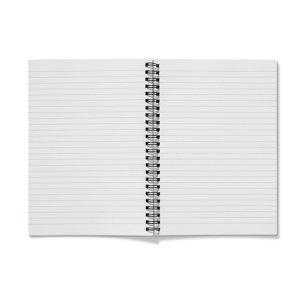 Rainbow Heartbeat Melodeon Notebook