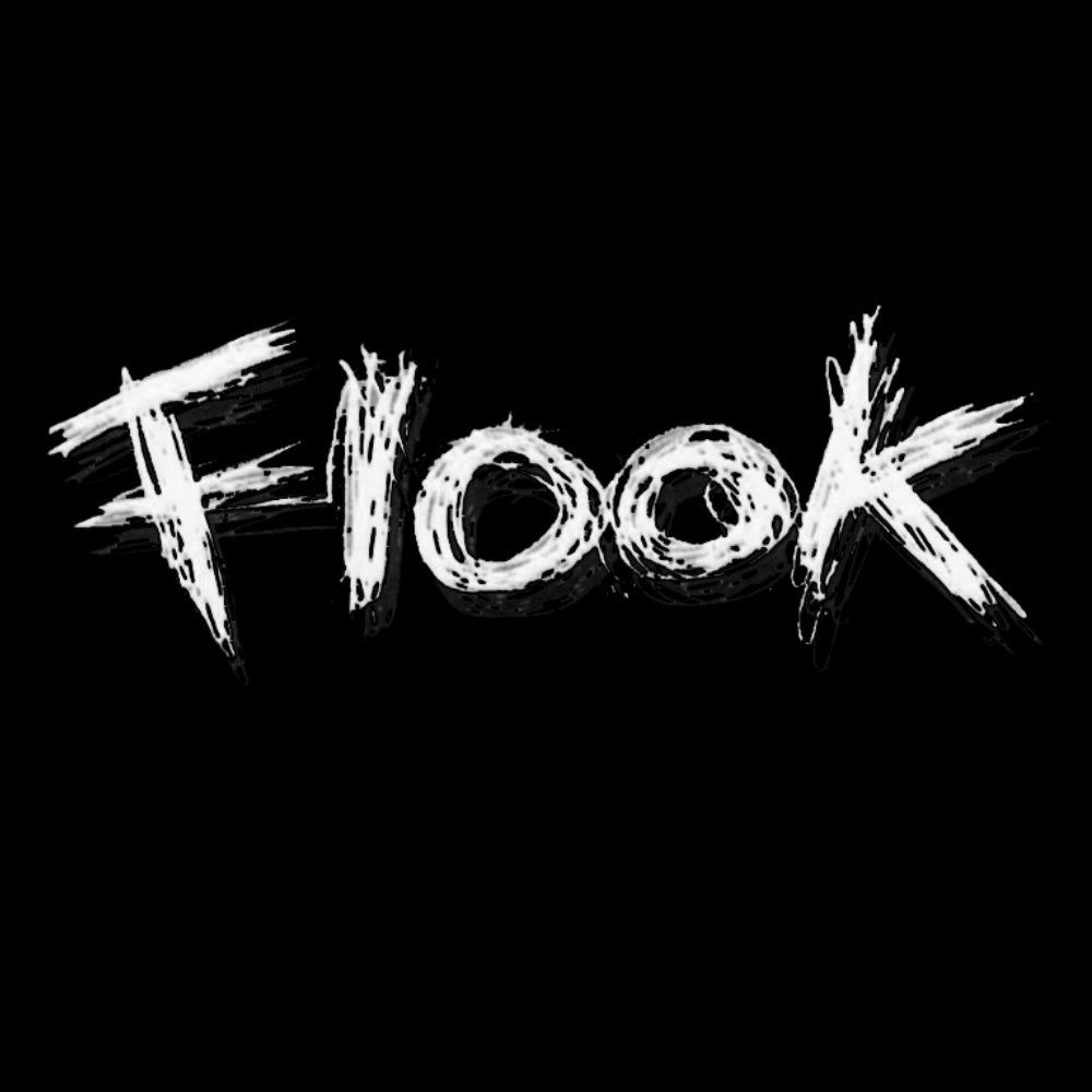 Flook T-shirt - T-shirt - - Mudchutney